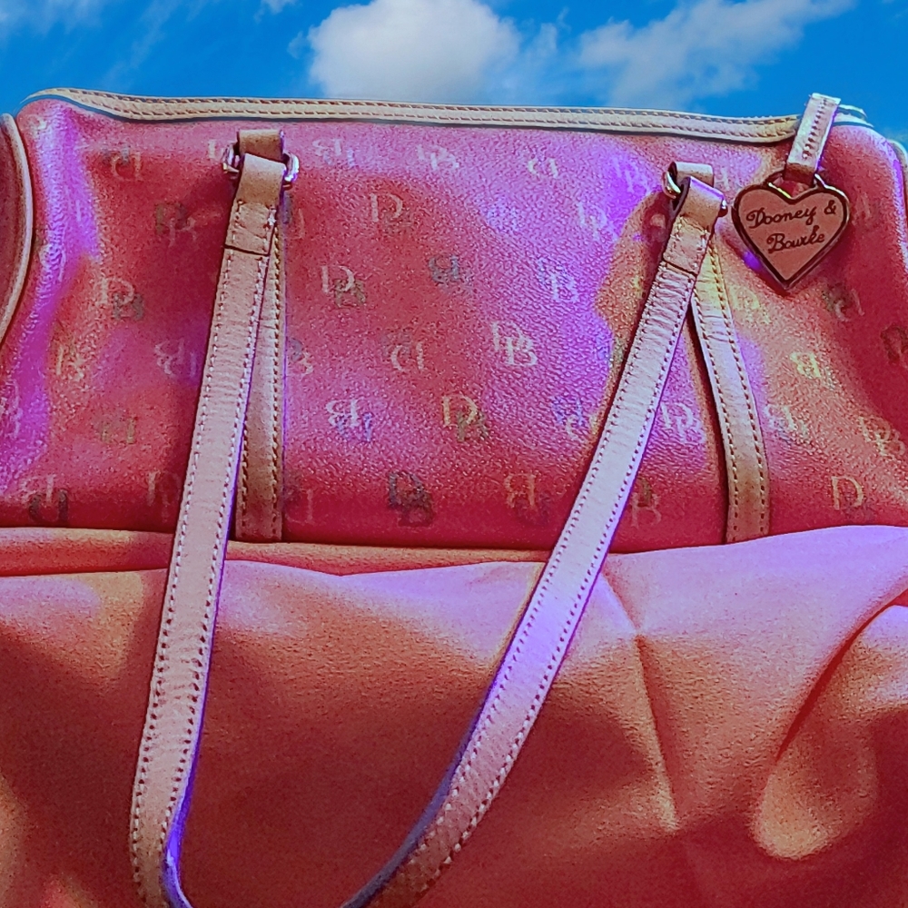 Authentic Dooney and Bourke purse